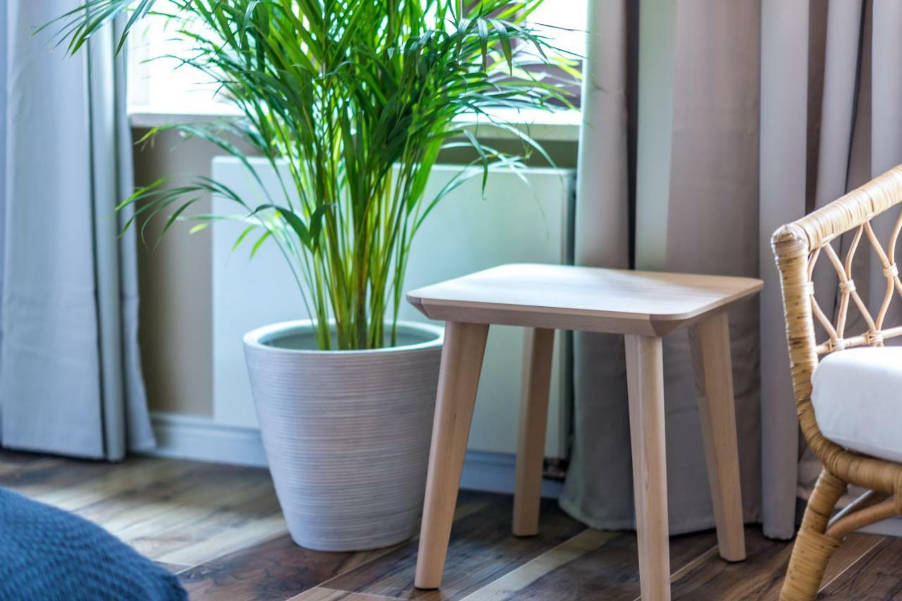 "Havana" Apartament Premium Przy Starym Rynku Poznań Eksteriør billede